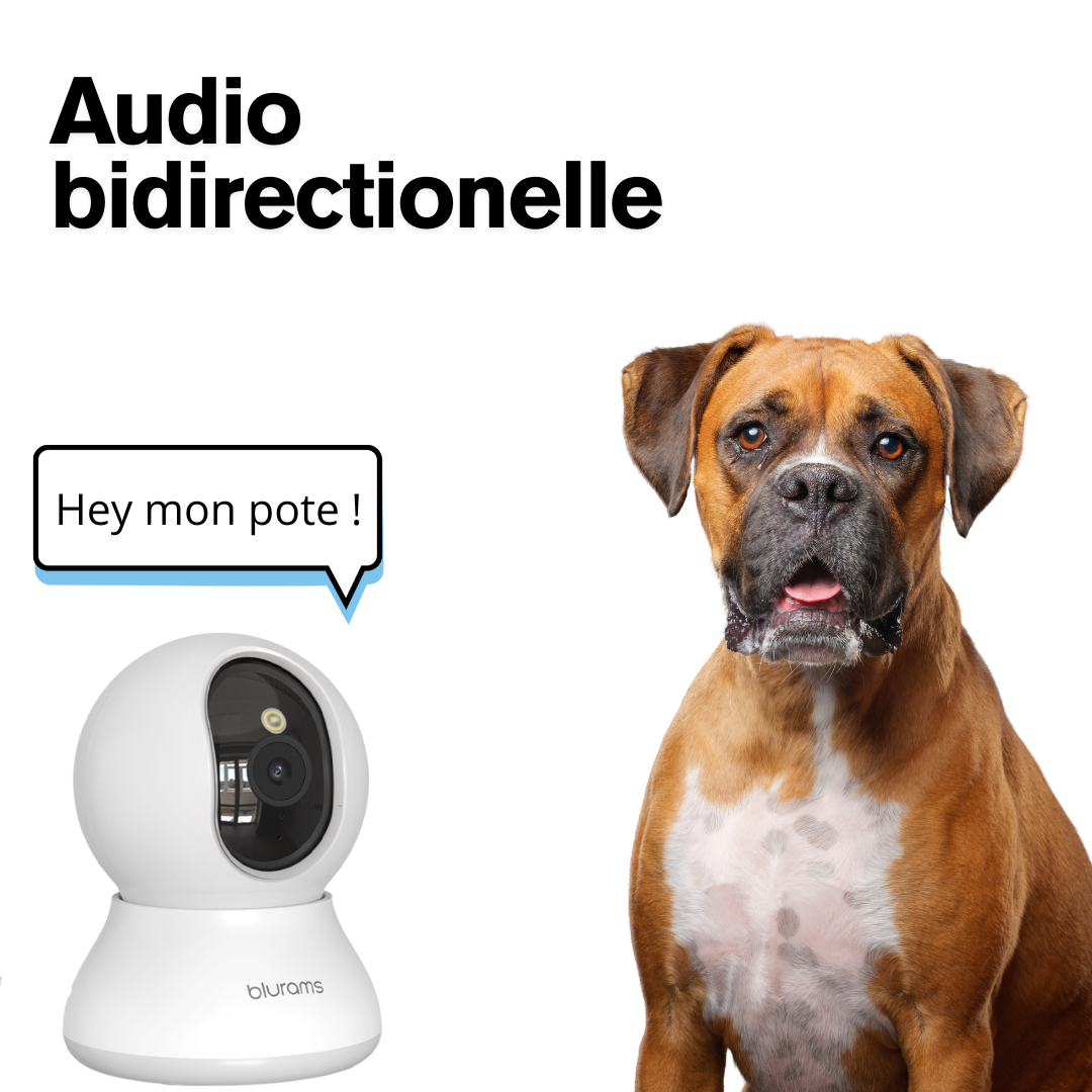 Caméra Blurams Intérieure WiFi 2K – Surveillance 360°, Audio Bidirectionne