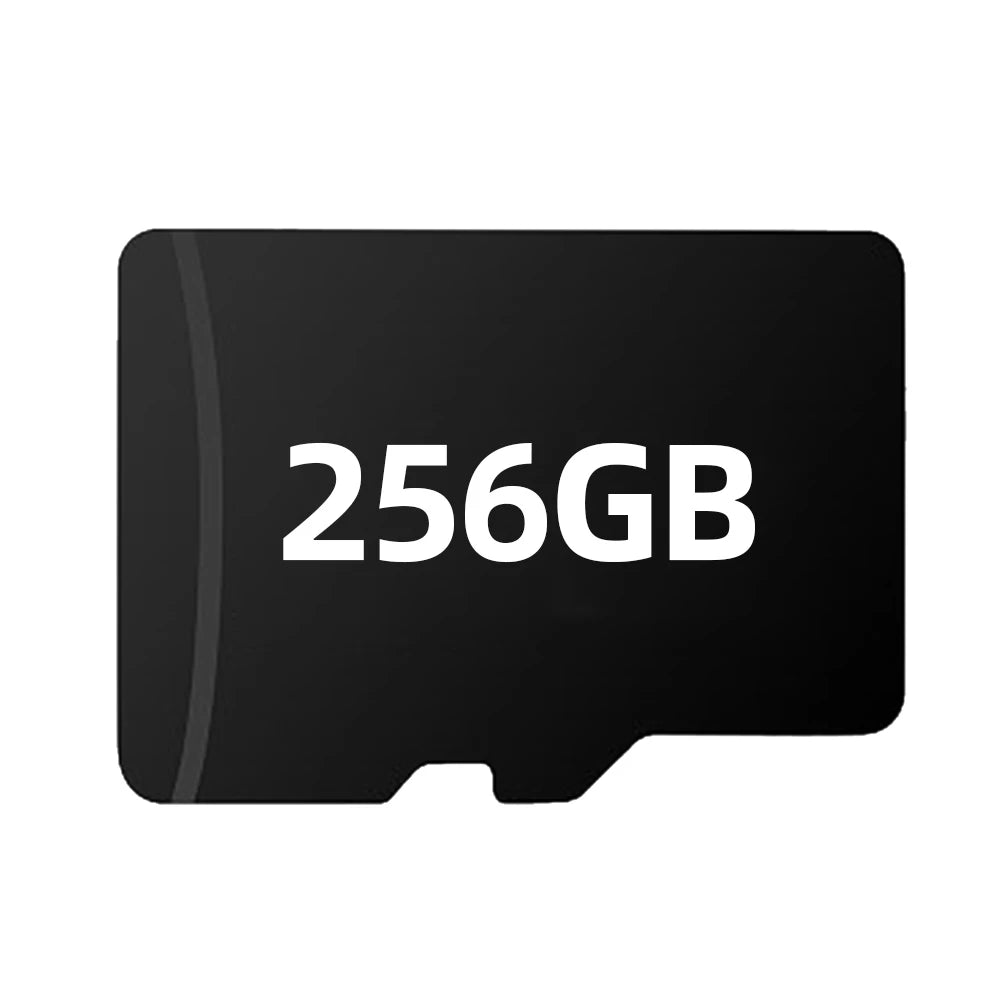 Carte microSD 256 Go haute vitesse pour caméras et objets connectés