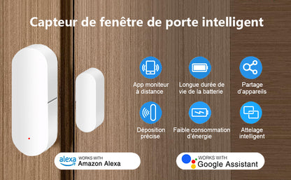 Capteur d’ouverture ZigBee pour porte et fenêtre. longue durée de la batterie. connecte plusieurs appareils

